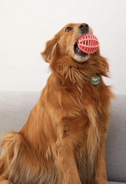 寵物玩具狗狗彈力球型玩具寵物玩具球橡膠彈力趣味漏食球 粉色 球類