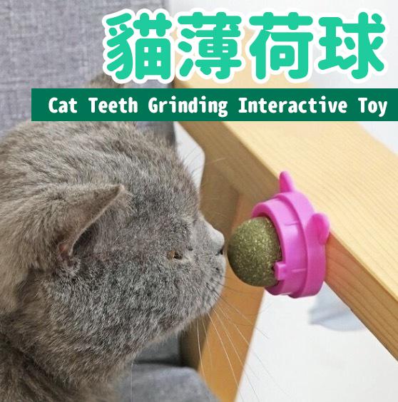 猫薄荷球猫咪磨牙洁齿互动玩具( 颜色随机) 猫健康小食