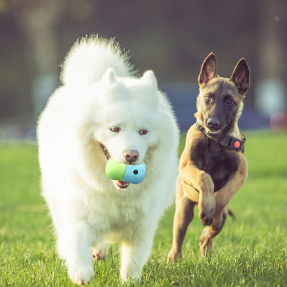 Pet Supplies Dog Food Toy Ball Silicone Nibble Bowl Fun Feeding Outdoor Sniffing Ball Pet Feeder