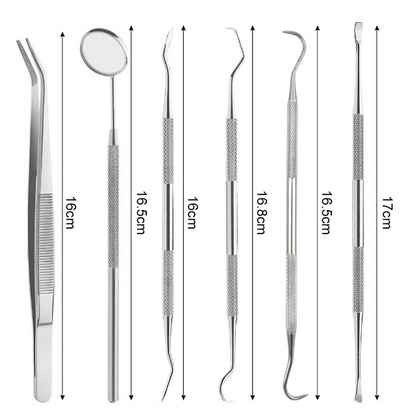 [6-Piece Set] Stainless Steel Dental Tools Oral Care Dentist Tool Set Endoscopic Teeth Picking to Remove Calculus, Tartar, Floss and Accessories