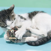 Silvervine Molar Cat Toy, Freshens Breath, Catnip Roly-Poly Ball, Bite-Resistant Pet Cat Toy