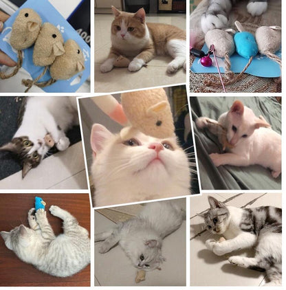 貓咪玩具仿真毛絨老鼠三只組合裝寵物貓貓玩具貓草內含貓薄荷逗貓 發聲玩具