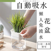 自動吸水 日式懶人免澆水花盆｜土培水培皆可可視水位透明盆栽 水耕栽培水種室內植物花盆 室內綠蘿自動吸水塑膠花盆