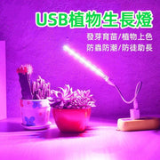 USB植物生長燈連 補光燈 多肉植物防徒助長生長燈 防蟲防潮 (連USB電源管)