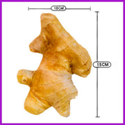 Dog Toy Ginger-shaped Squeaky Chew Training Toy (Teething Dog Toy) Ginger Candy