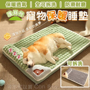 可拆洗宠物床狗床猫床护瘠椎宠物床垫宠物睡垫狗睡垫狗保暖垫子（牛油果绿/M）