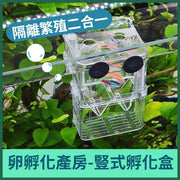 细-鱼苗繁殖箱隔离箱孵化箱幼鱼产卵孵化箱13 * 10 * 7cm