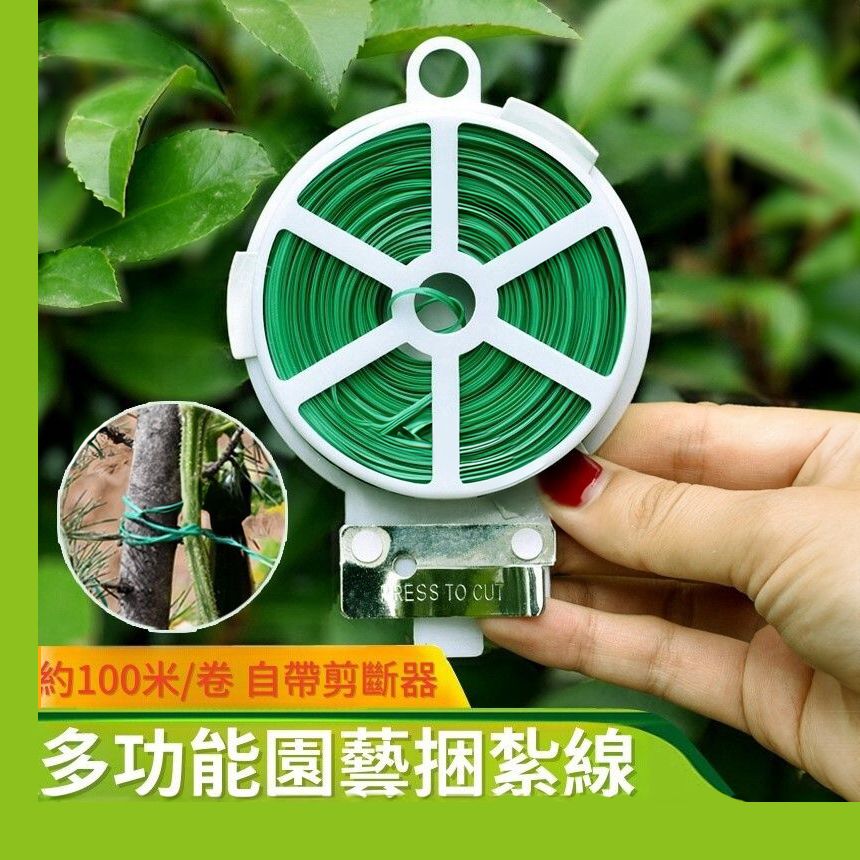 HK241113JJQT13142RMN01_0