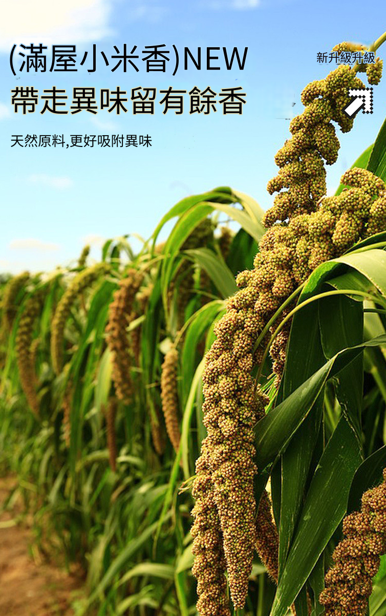 HK241008JJQT12766RMN01_5