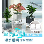 自動吸水透明水培花室內盆栽 小溫室 室內自動淋水盆栽 自動耍水 懶人盆栽 花盆 盆栽 塑膠盆 自動吸水不須每天澆水 風格簡約時尚美觀養殖自動吸水花盆（白色） 花盆 花架