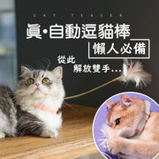 【懶人貓奴必備】真·自動逗貓棒 可綁腳綁家具綁貓頸頸圈羽毛逗貓棒 可拆卸帶鈴鐺綁頸自嗨解悶貓咪耐咬小貓玩具 寵物用品 貓項圈脖子逗貓棒