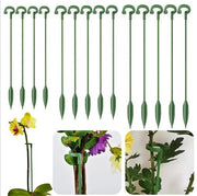 [10-pack] 17cm garden bonsai Phalaenopsis stand Phalaenopsis support rod plant potted flower fixed protection rack