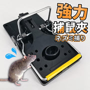 Powerful mouse trap mouse trap mouse trap mouse clip sticker