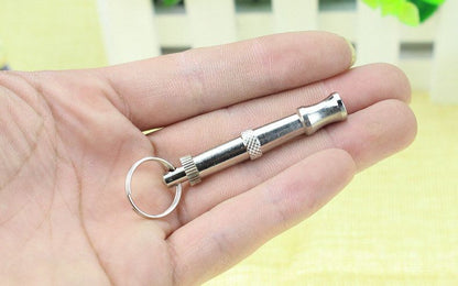 HK250312JJQT14078RMN01_5