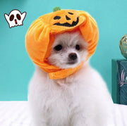 Pet Cats and Dogs Pumpkin Hats Halloween Ghost Festival Decorative Headwear Supplies Cat and Dog Supplies Pet Supplies Halloween